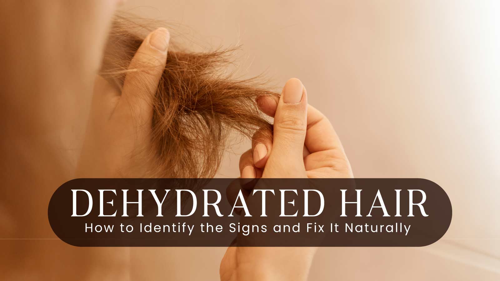 Dehydrated Hair: How to Identify the Signs and Fix It Naturally