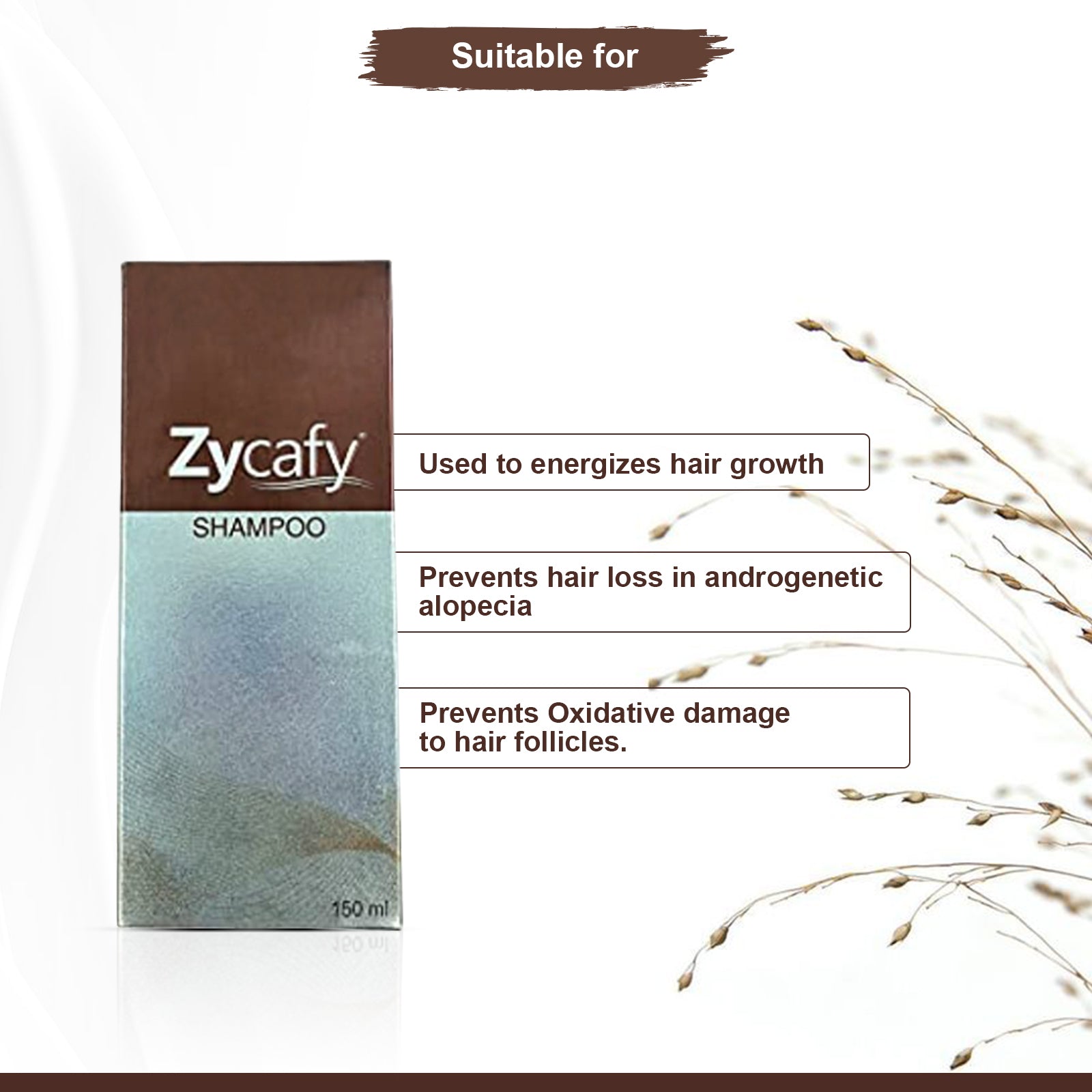 Zycafy Shampoo